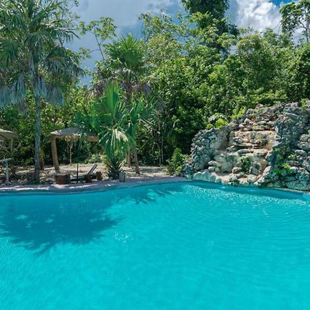 Jolie Jungle Eco Hotel (Adults Only) Leona Vicario Εξωτερικό φωτογραφία