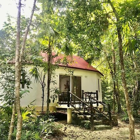 Jolie Jungle Eco Hotel (Adults Only) Leona Vicario Εξωτερικό φωτογραφία