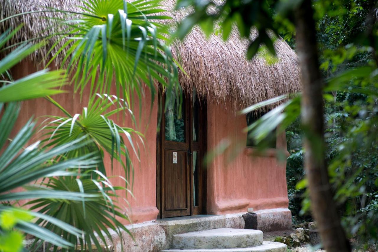 Jolie Jungle Eco Hotel (Adults Only) Leona Vicario Εξωτερικό φωτογραφία