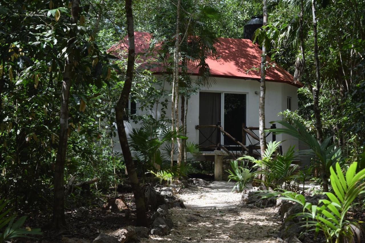 Jolie Jungle Eco Hotel (Adults Only) Leona Vicario Εξωτερικό φωτογραφία