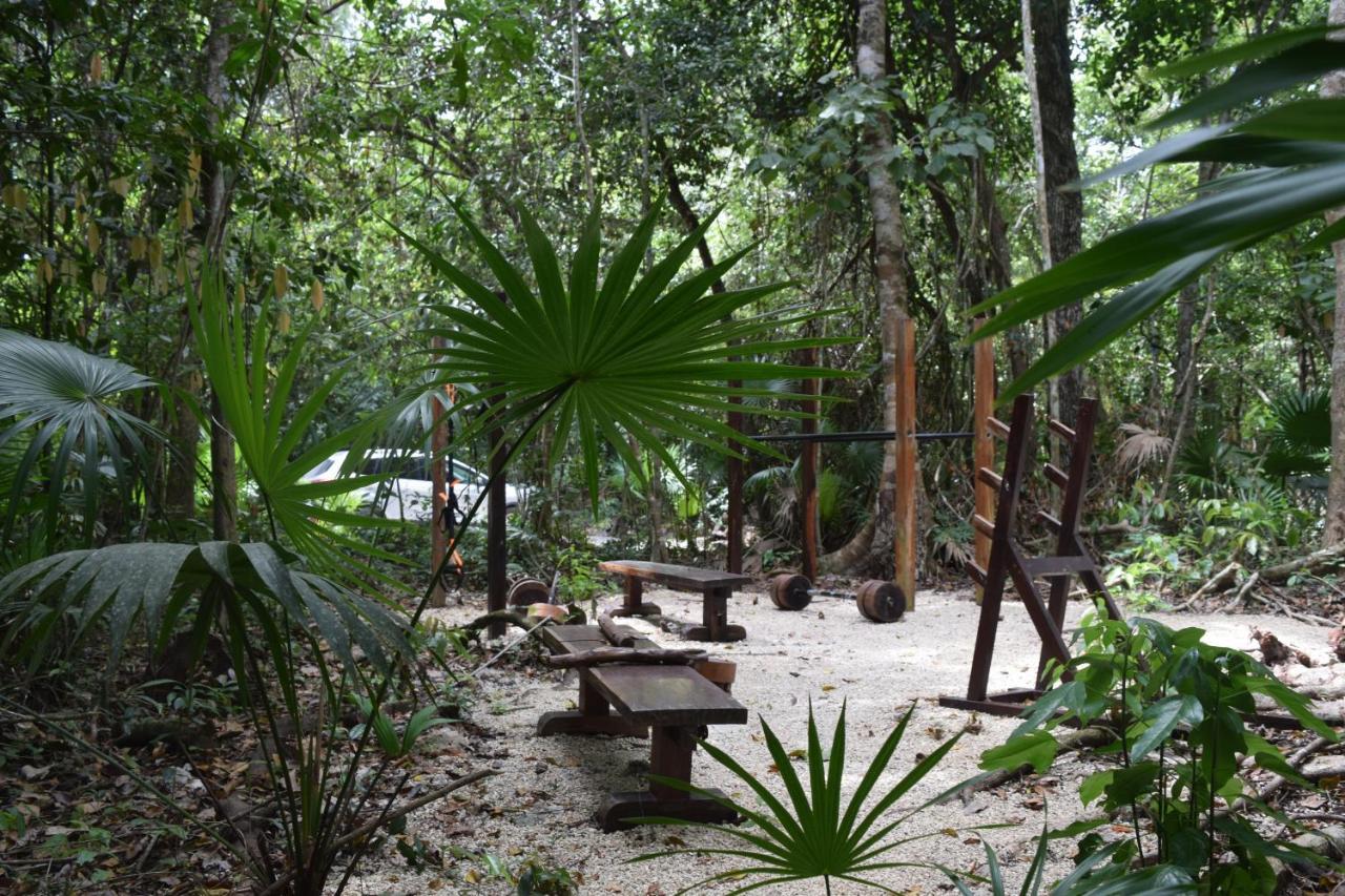 Jolie Jungle Eco Hotel (Adults Only) Leona Vicario Εξωτερικό φωτογραφία