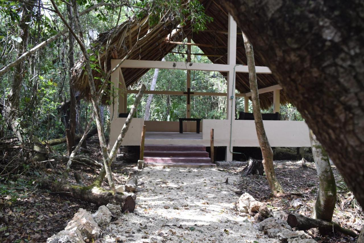 Jolie Jungle Eco Hotel (Adults Only) Leona Vicario Εξωτερικό φωτογραφία