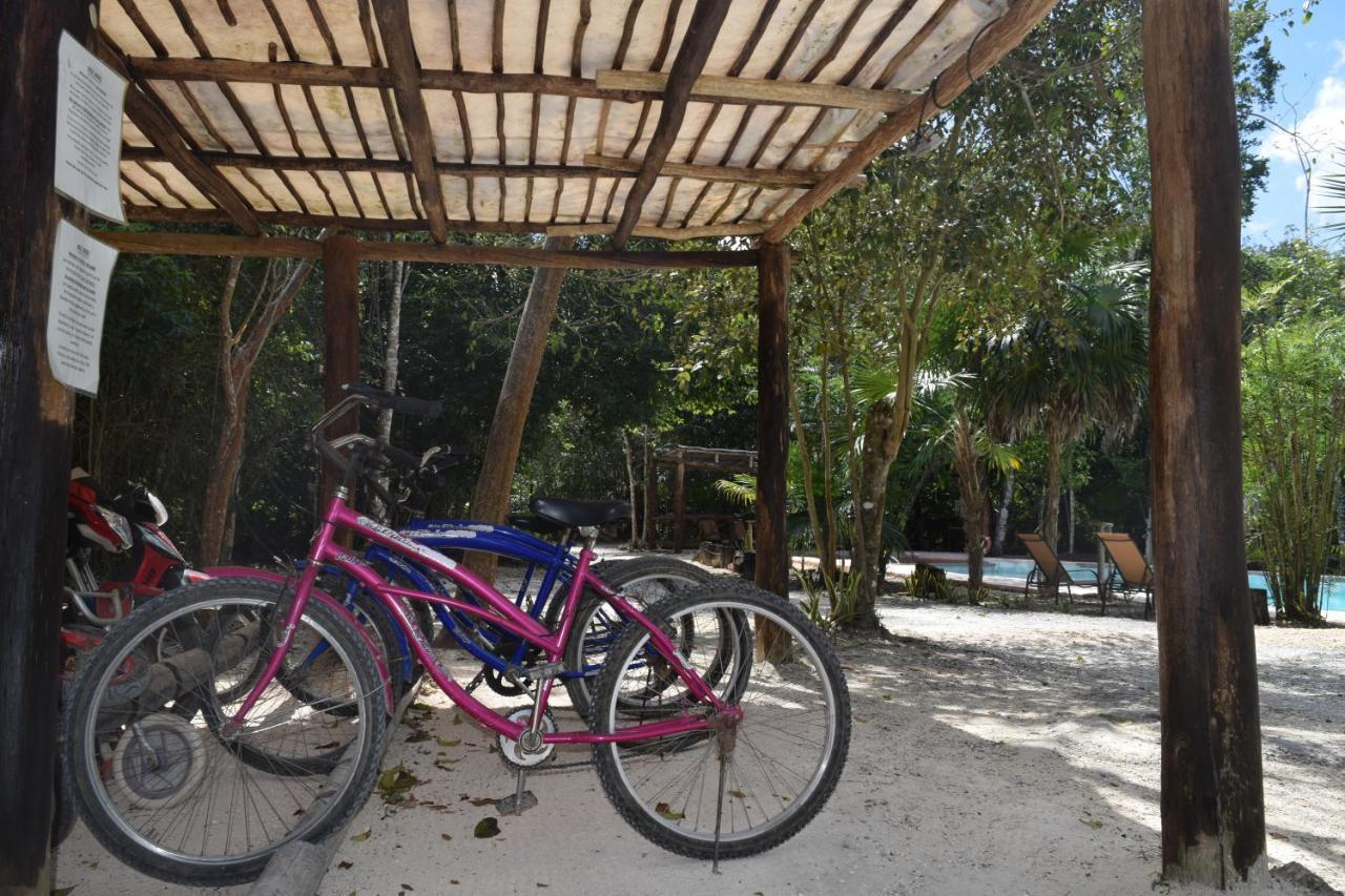 Jolie Jungle Eco Hotel (Adults Only) Leona Vicario Εξωτερικό φωτογραφία