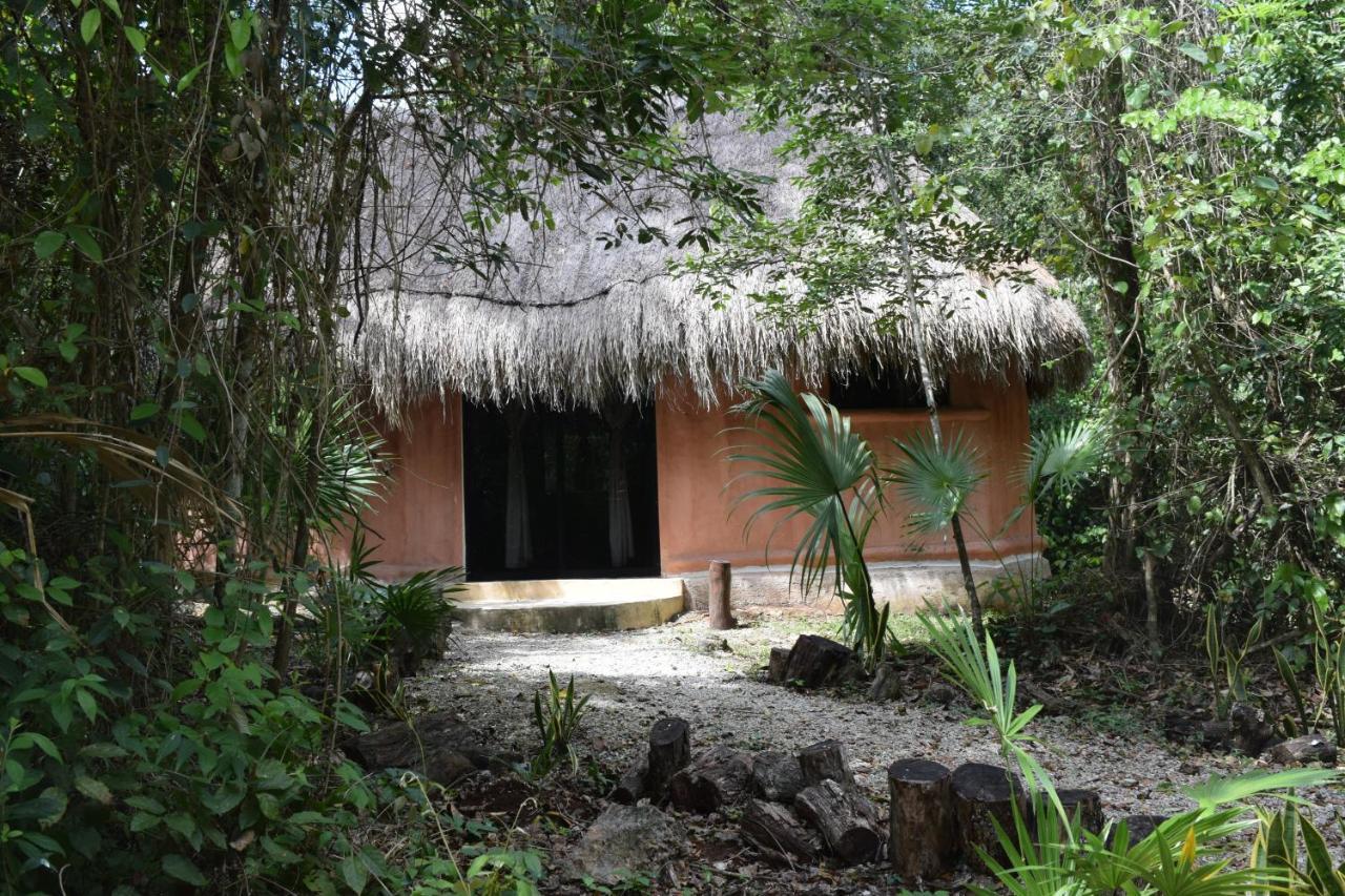 Jolie Jungle Eco Hotel (Adults Only) Leona Vicario Εξωτερικό φωτογραφία