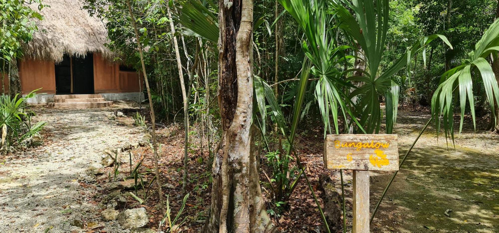 Jolie Jungle Eco Hotel (Adults Only) Leona Vicario Εξωτερικό φωτογραφία