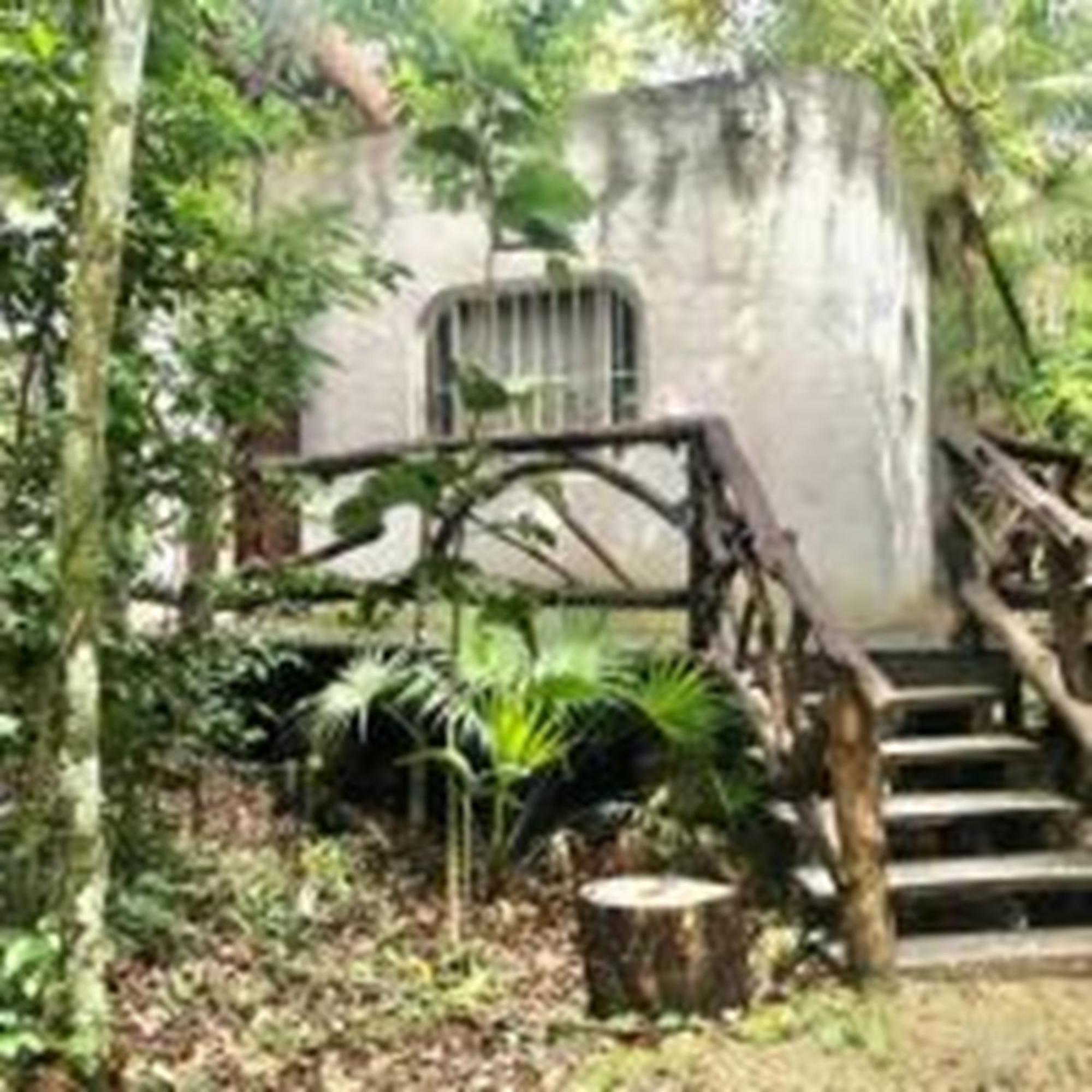 Jolie Jungle Eco Hotel (Adults Only) Leona Vicario Εξωτερικό φωτογραφία