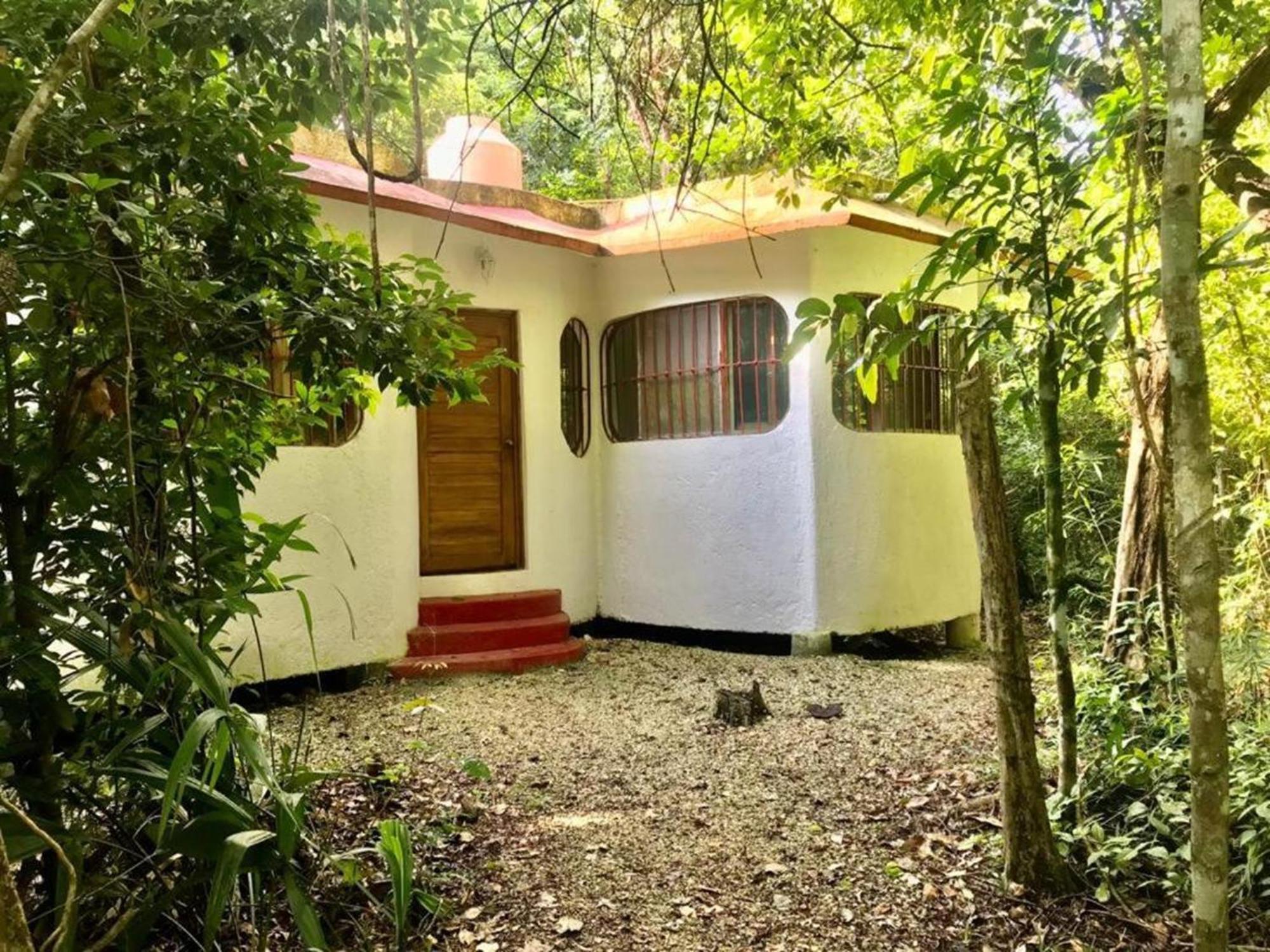 Jolie Jungle Eco Hotel (Adults Only) Leona Vicario Εξωτερικό φωτογραφία