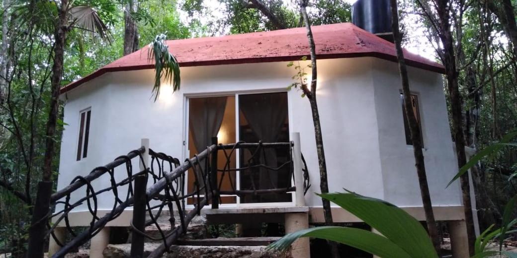 Jolie Jungle Eco Hotel (Adults Only) Leona Vicario Εξωτερικό φωτογραφία